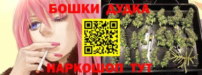 МДПВ Ливны